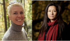 Image Le r&ocirc;le des psychoth&eacute;rapeutes dans les psychoth&eacute;rapies assist&eacute;es par psych&eacute;d&eacute;liques