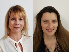 Image Psychoth&eacute;rapie EMDR : Affiner son regard clinique pour une pratique plus fluide, coh&eacute;rente et confiante