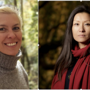 capture_doecran_2026-02-15_a_192653